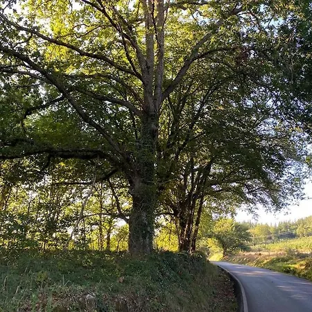 Casa Vilacha - Ribeira Sacra